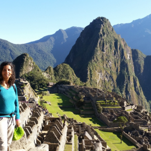 שרונה - מוקטנות לאתר