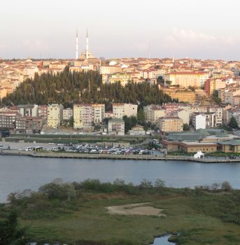 ‏‏‏‏‏‏IMG_1003 - עותק (3) - עותק - עותק